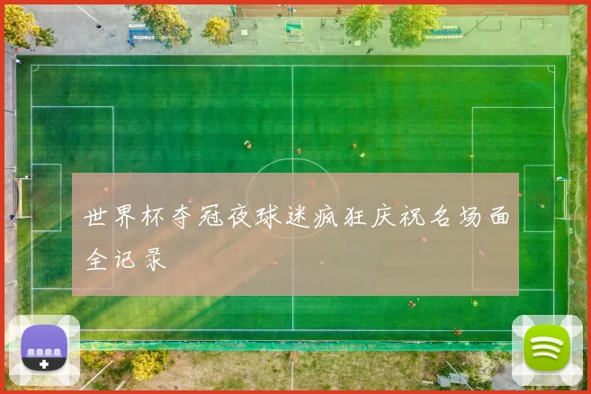 世界杯夺冠夜球迷疯狂庆祝名场面全记录