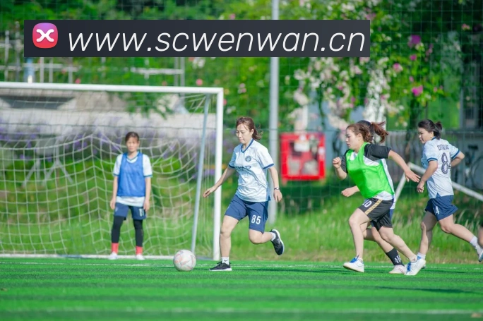 mksports官方网站登录入口品牌故事